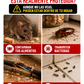 Repelente ultrasónico 2x1 Para insectos y ratones